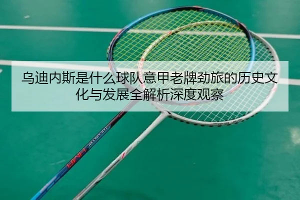乌迪内斯是什么球队意甲老牌劲旅的历史文化与发展全解析深度观察