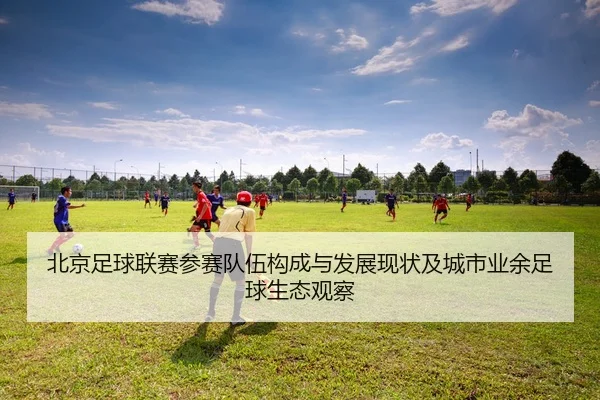 北京足球联赛参赛队伍构成与发展现状及城市业余足球生态观察